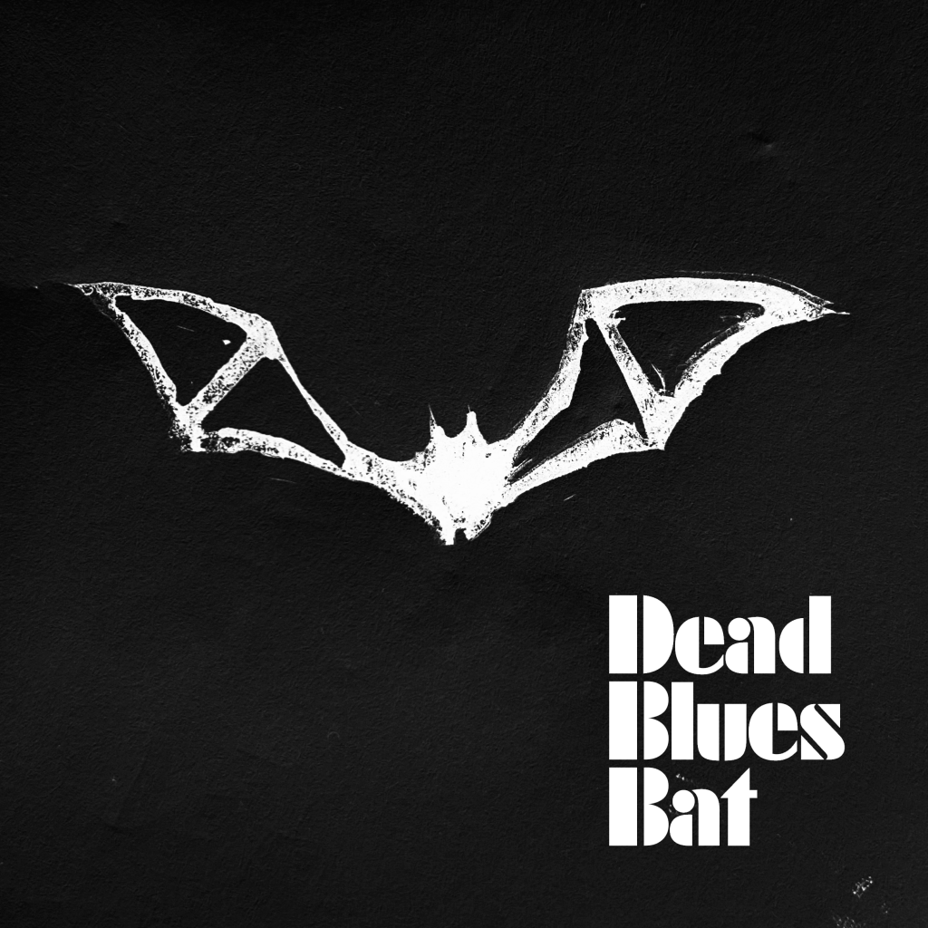 Album Cover artwork by Anirika
